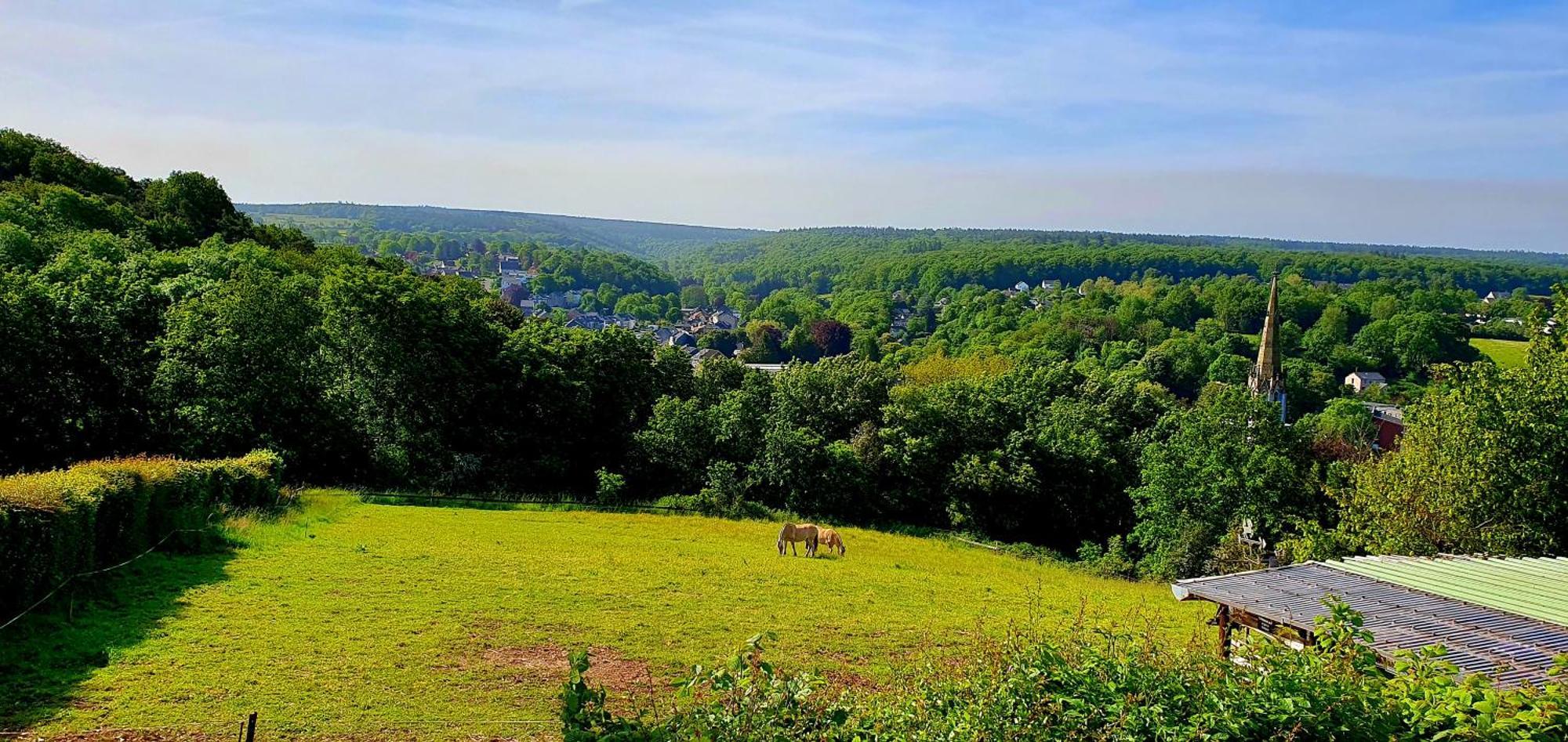 Gite Kaleo Eupen Jugendherberge Exteriér fotografie
